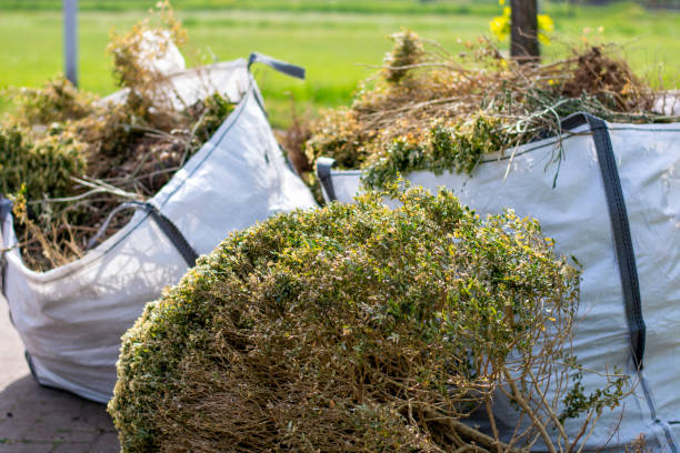 Best Yard Cleanup Services  in Ashland, NE